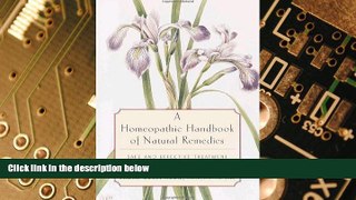 Big Deals  A Homeopathic Handbook of Natural Remedies: Safe and Effective Treatment of Common
