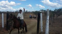 Cavalgada Matriarca/ Cajá do Farias