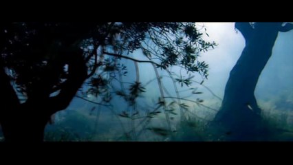 Mel Gibson confirma el rodaje de 'La Resurrección'