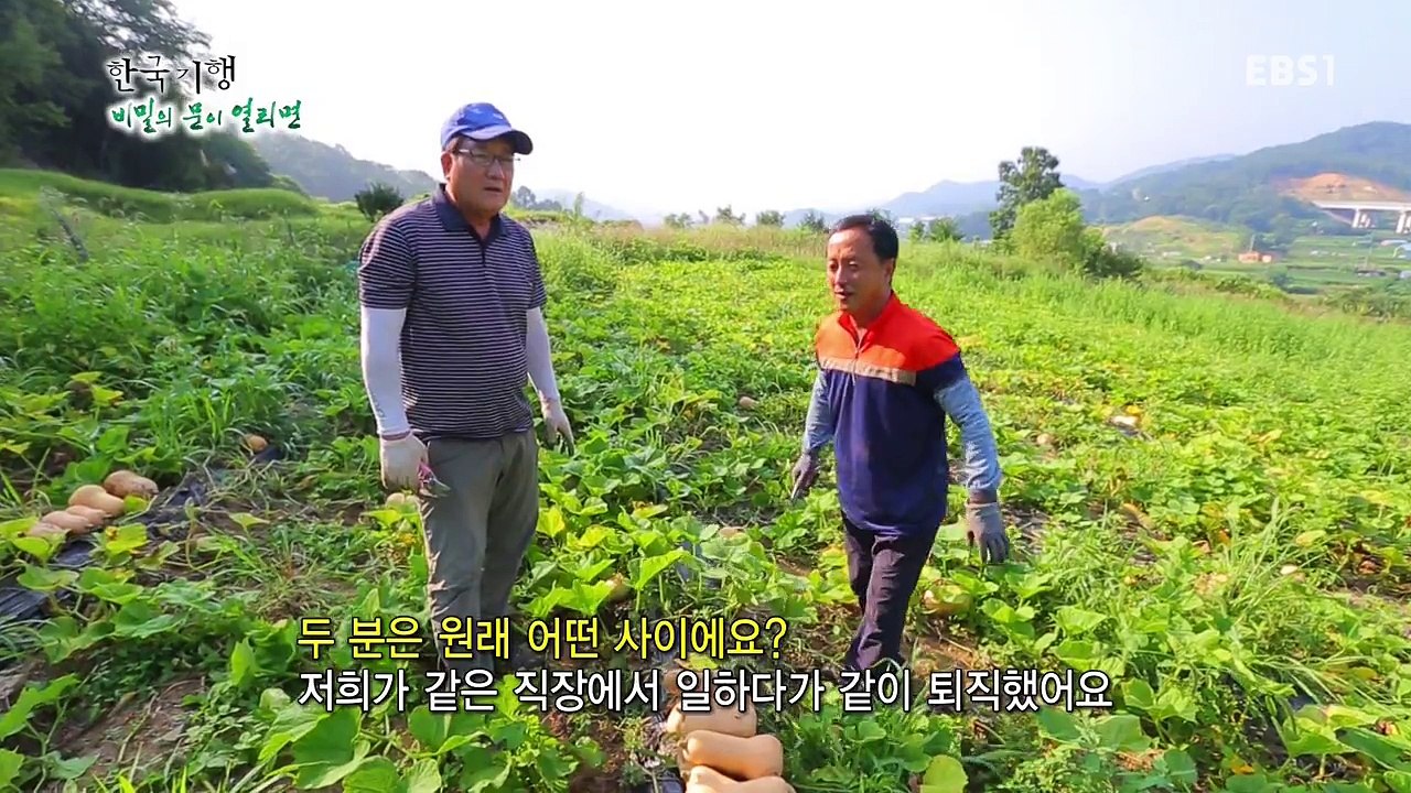 기행