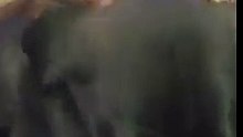 (2)Une conductrice voit un sac-poubelle aux mouvements bizarres sur la route, quand elle découvre le contenu, elle est sous