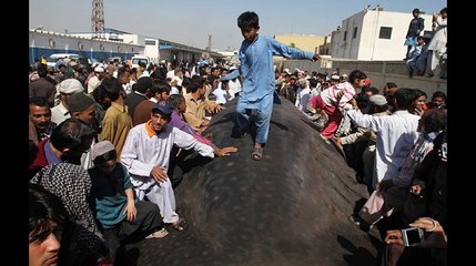 Giant Whale Appears At Karachi Beach