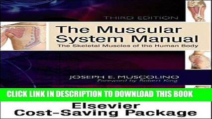 [PDF] The Muscular System Manual - Text, Flashcards , and Coloring Book 2e Package Popular Online