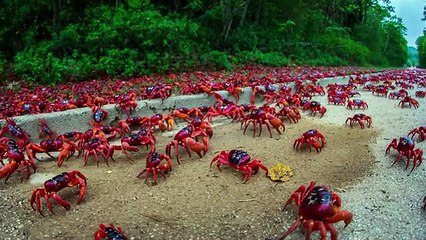 أغرب 10 ظواهر لن تصدقها في المحيط !
