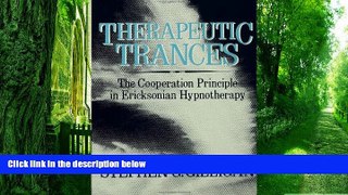Big Deals  Therapeutic Trances: The Co-Operation Principle In Ericksonian Hypnotherapy  Best