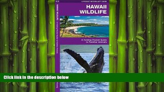 READ book  Hawaii Wildlife: A Folding Pocket Guide to Familiar Species (Pocket Naturalist Guide