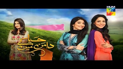 Haya Kay Daman Main Episode 111 in HD on Hum Tv 1st September 2016