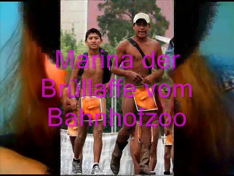 Marina brüllaffe von Bahnhofzoo