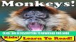 [New] Monkeys! Learning About Monkeys - Monkey Photos And Facts Make It Fun! (Over 45+ Pictures of