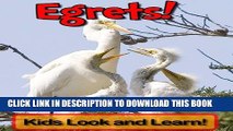 [New] Egrets! Learn About Egrets and Enjoy Colorful Pictures - Look and Learn! (50+ Photos of