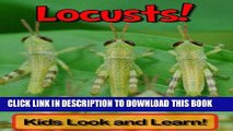 [PDF] Locusts! Learn About Locusts and Enjoy Colorful Pictures - Look and Learn! (50  Photos of