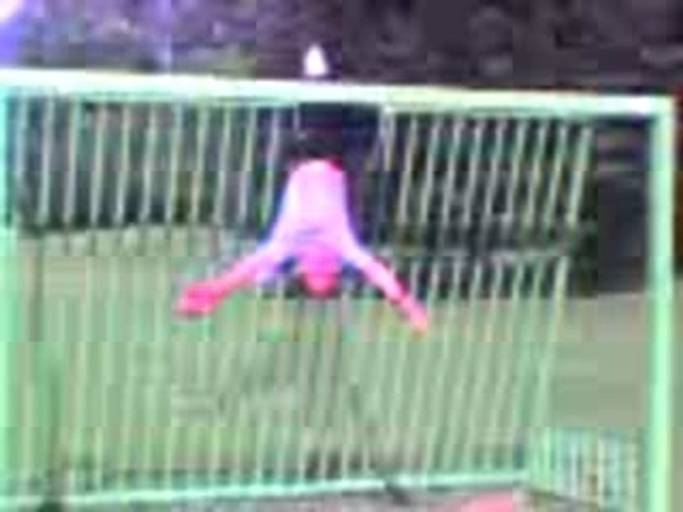 valentin a  l'envere
