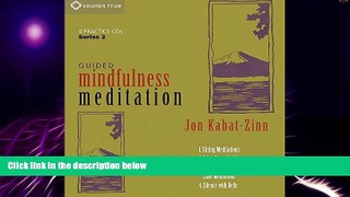 Big Deals  Guided Mindfulness Meditation Series 2  Free Full Read Best Seller