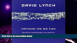 Big Deals  Catching the Big Fish: Meditation, Consciousness, and Creativity  Best Seller Books