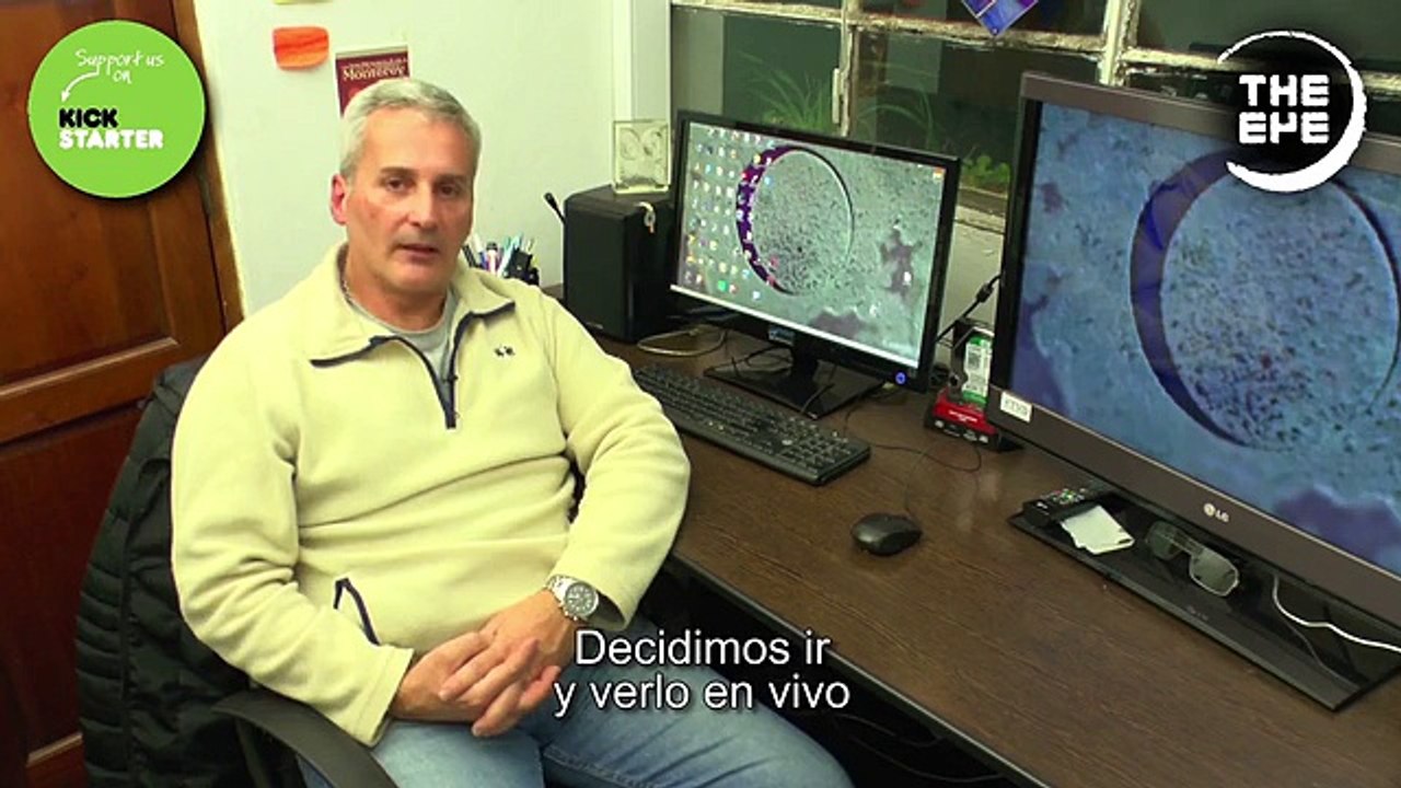 Is the mysterious 'eye' island near Argentina hiding an alien base?