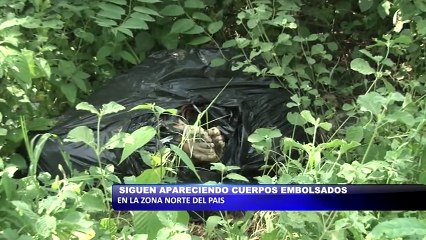 Download Video: Siguen apareciendo cuerpos embolsados