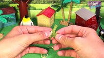 8 INCREDIBLE FACTS FARM ANIMALS SURPRISE TOYS 3D PUZZLES - Eagle Woodpecker Kingfisher