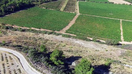 MOULIN DE FELINES MINERVOIS
