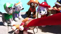 PATRULLA CANINA: SKYE VENDADA COMO UNA MOMIA | Paw Patrol Español. Vacaciones Piscina EPISODIO 1