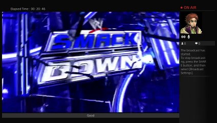 Playing wwe2k15 (16)