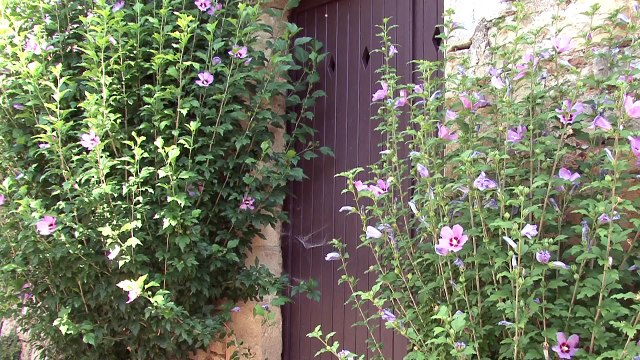 2016 - Tarn - Bruniquel, Albi, Castres, etc