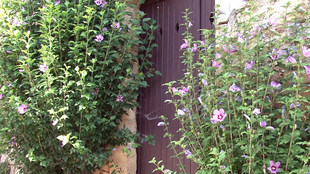 2016 - Tarn - Bruniquel, Albi, Castres, etc