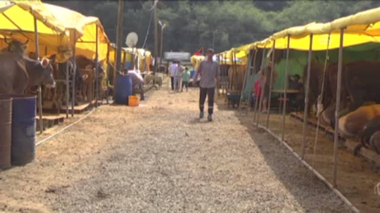 Trabzon'un Kurbanlıkları Doğu Anadolu'dan