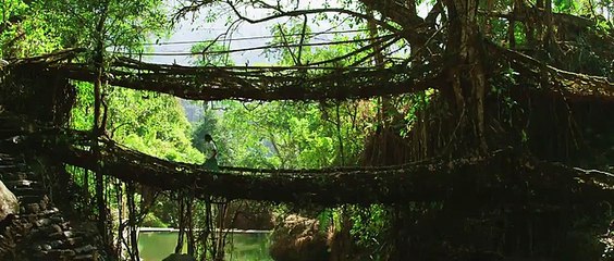 Tholi Premalo (Kayal) Telugu dubbed movie 2016-2