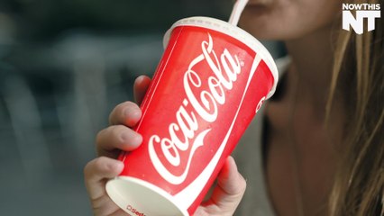 $56 Million Worth of Cocaine Found at French Coca Cola Factory