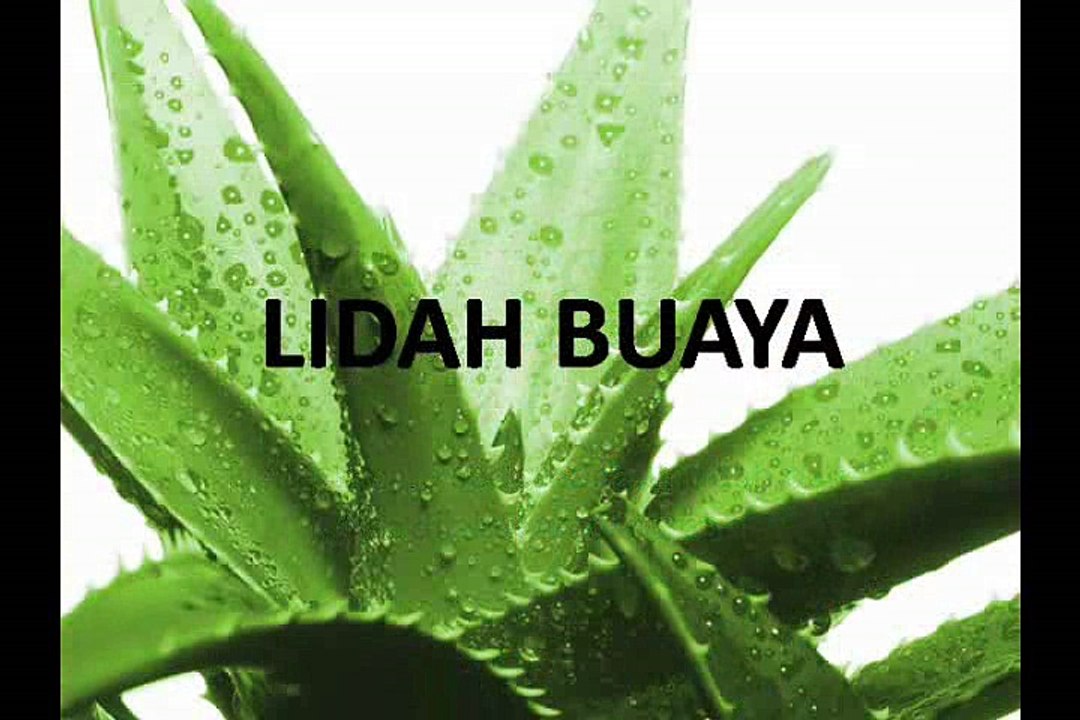 CARA MENGHILANGKAN BEKAS JERAWAT dengan Mudah