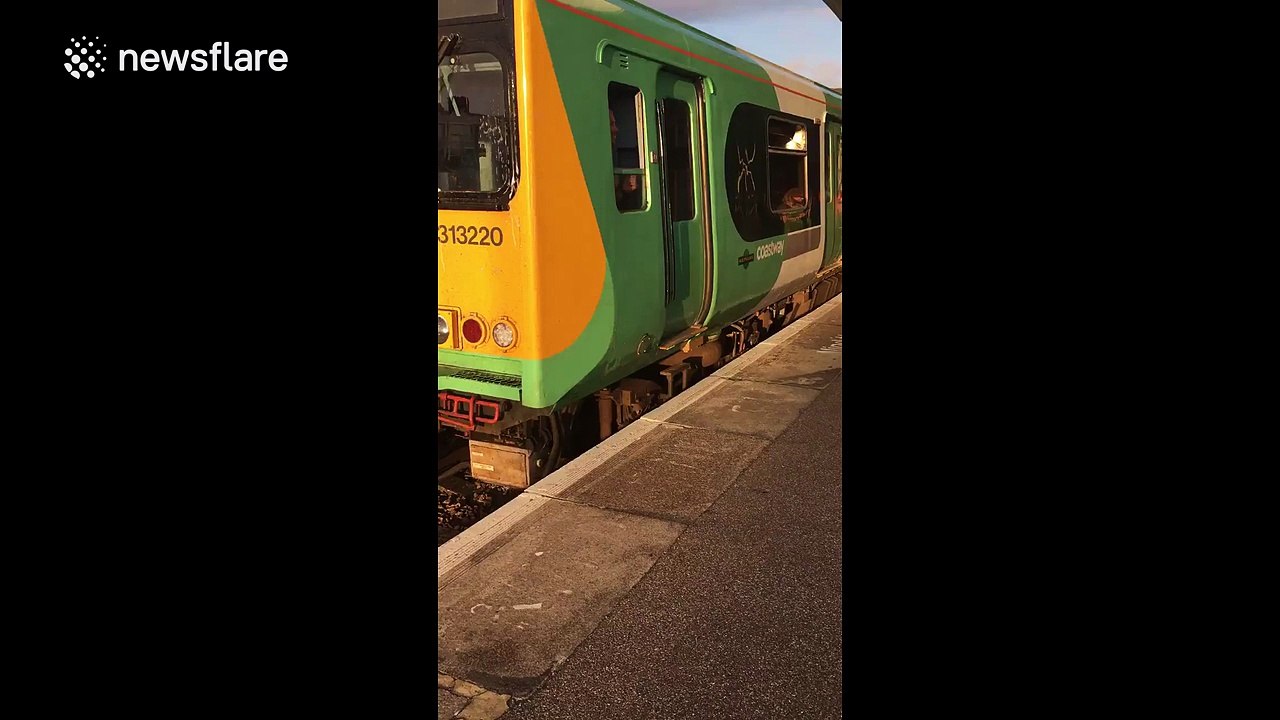 People squashed against windows on overcrowded Southern Rail train