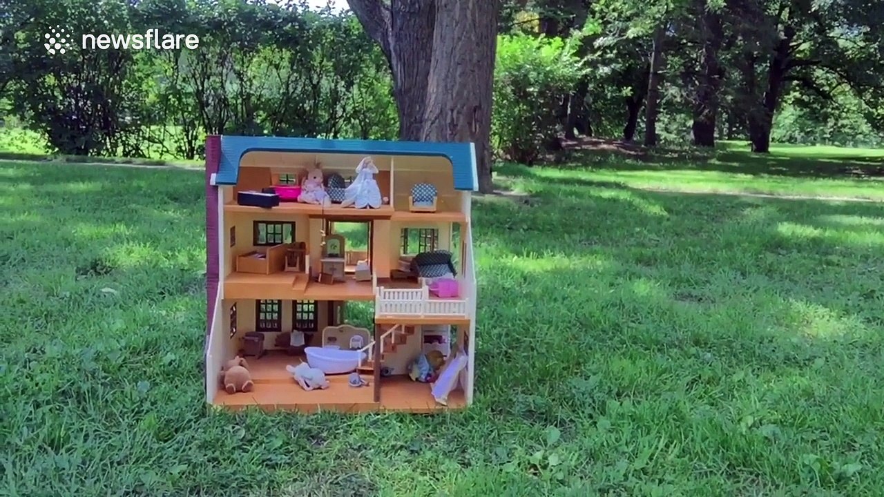 YouTuber 'gives back to the squirrel community'