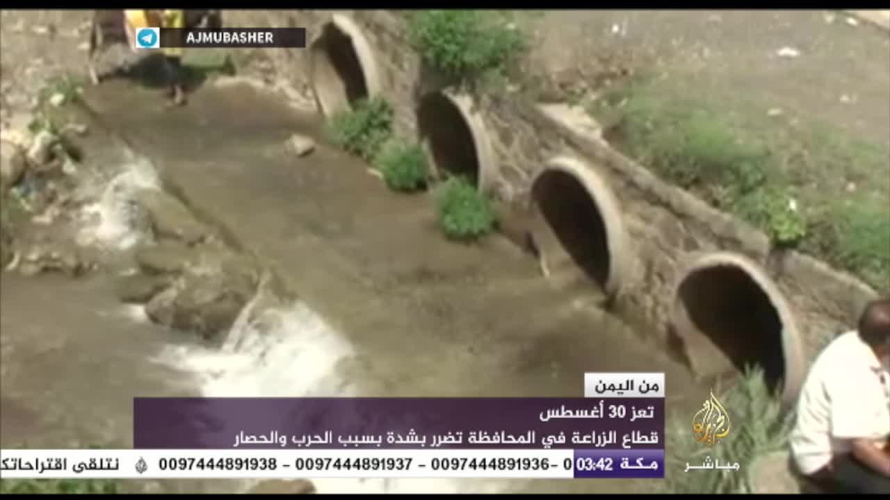 اليمن اليوم - قتلى من المقاومة بينهم أسير أعدمت...