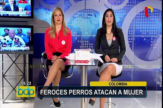 Colombia: feroces perros atacan a mujer