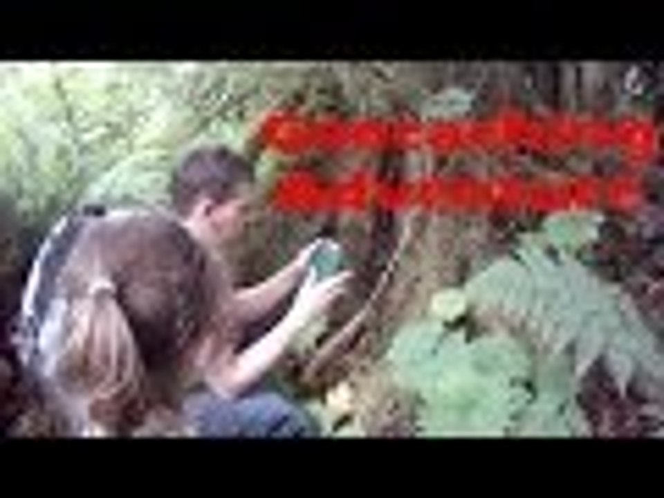Geocaching with Kids