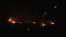 İzmir'de Makilik Alanda Yangın