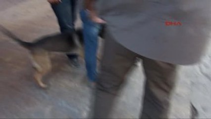 Şanlıurfa?da İHD Üyeleri 'Barış' İstedi