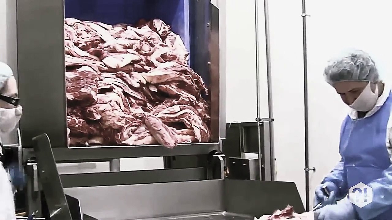 COISAS NOJENTAS QUE VOCÊ GOSTA DE COMER