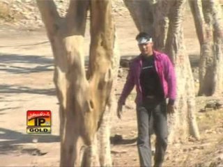 TP Produces Diverse Music Albums & Telefilms 🎶