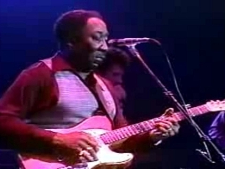 Muddy Waters - Baby Please Don't Go
