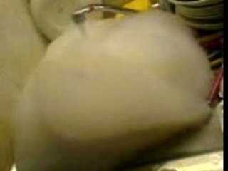 MOV00010