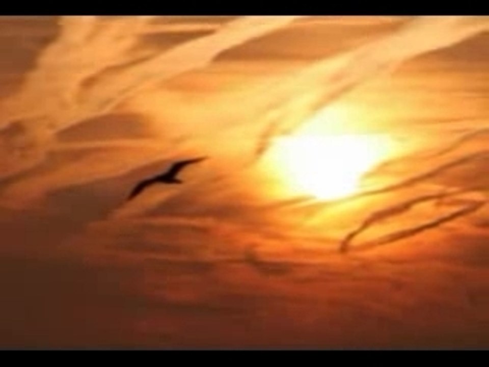 YouTube - ciel
