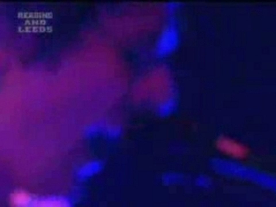 Muse - Reading 2006 - Take A Bow