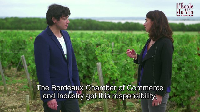 CLASSIFICATION OF 1855