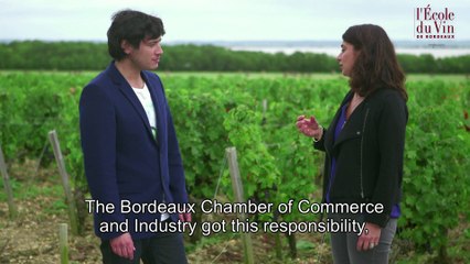 Historical Wine Classification of 1855 🍷