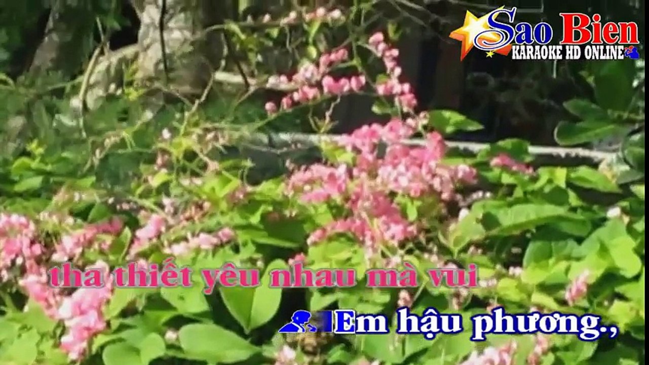 47 anh tien tuyen em hau phuong