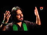 Wo Maa Hai Zainab, Saeed Ali Karbalai 2013-14