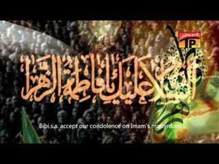 Sheh Ka Pursa Wusool Kar Bibi, Hasnain Abbas 2013-14