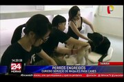 Hotel canino de Taiwán brinda masajes para relajar a las mascotas