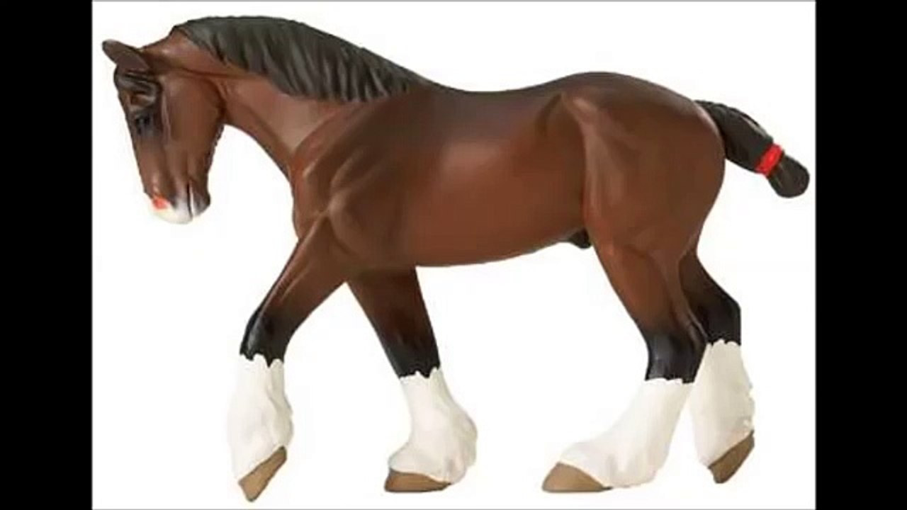 Caballos Juguetes para niños en español , dibujos animados infantiles en español